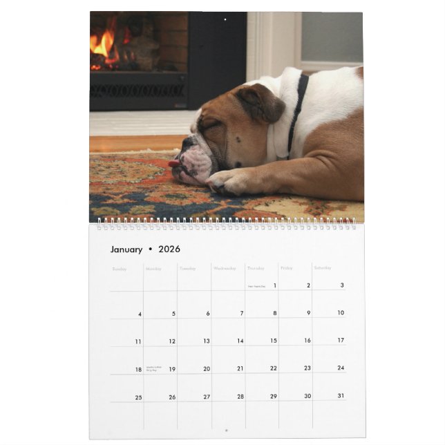 Calendário Pumbaa (Jan 2026)