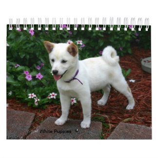Calendário Puppies whites