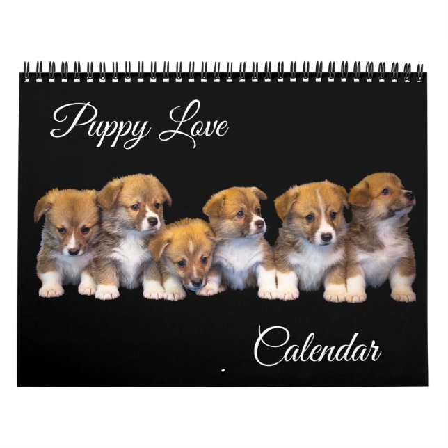 Calendário Puppy Love Calendar (Capa)