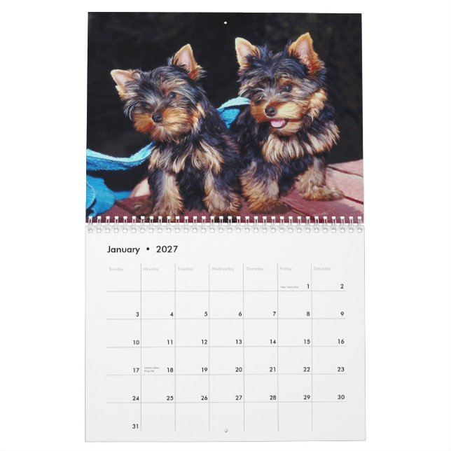 Calendário Pups em Cute 2012 (Jan 2027)