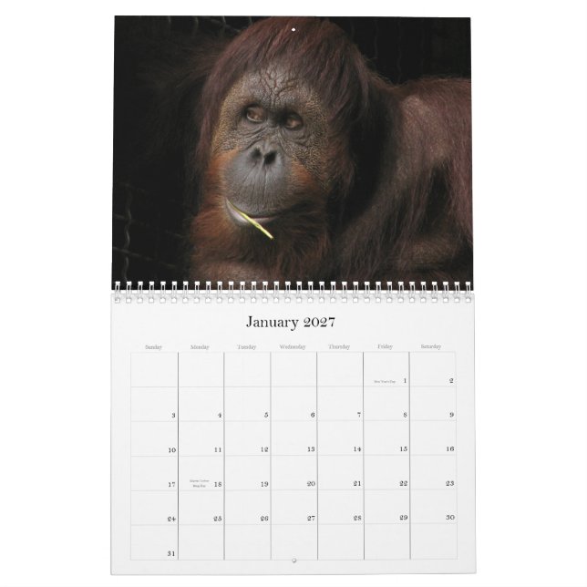 Calendário Quem se importa se é sazonal? (Jan 2027)