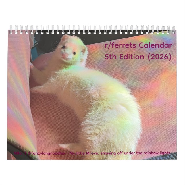 Calendário r/ferrets Calendar 5th Edition (2026) (Capa)