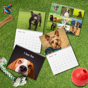 Calendário Raças de Cães 2026 Amantes de Cães Populares