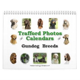 Calendário Raças de Gundog