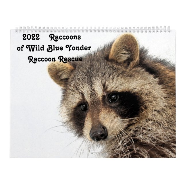 Calendário Raccoons de 2022, salvamento da guaxinim-azul selv (Capa)