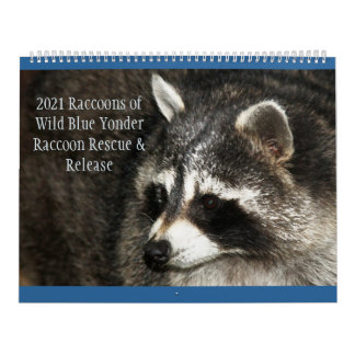 Calendário Raccoons of Wild Blue Yonder 2021