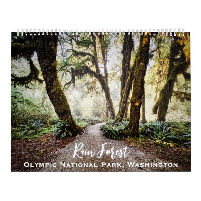 Calendário Rain Forest ・ Parque Nacional da Olimpiadas, Washi (Capa)