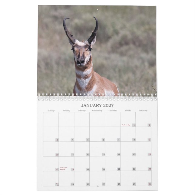 Calendário Rancho de 2012 poços (Jan 2027)