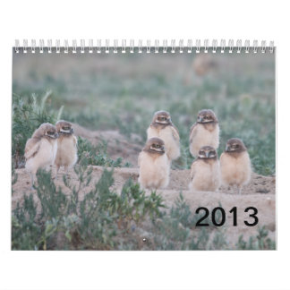 Calendário Rancho de 2013 poços