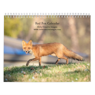 Calendário Raposa Vermelha - 2024