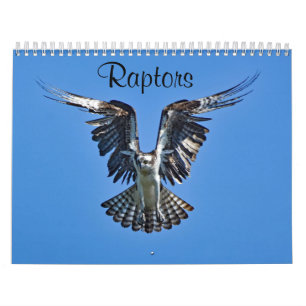 Calendário Raptores