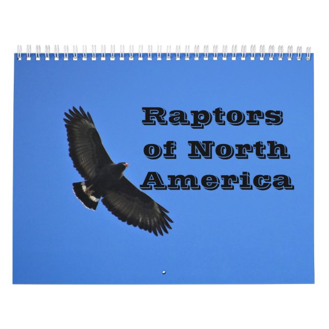 Calendário - Raptores (aves de rapina) da América  (Capa)