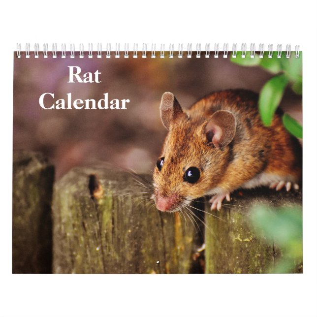 Calendário Rato 2026 (Capa)
