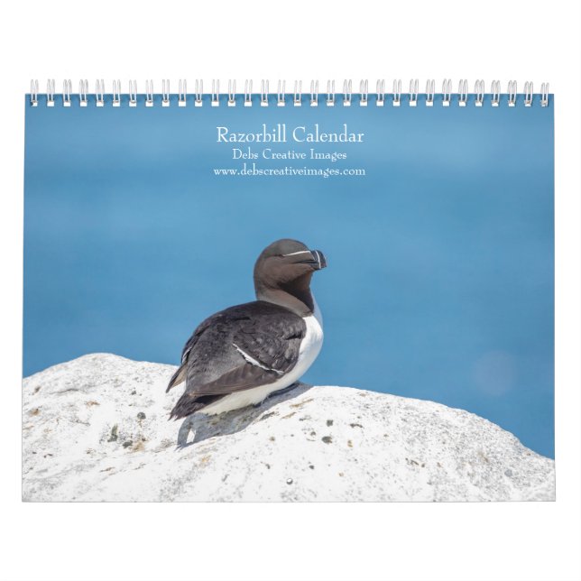 Calendário Razorbill 2026 (Capa)