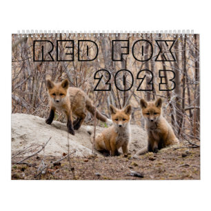 Calendário Red Fox 2023 - Calendar