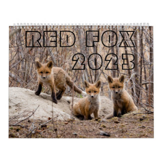 Calendário Red Fox 2023 - Calendar