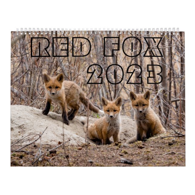 Calendário Red Fox 2023 - Calendar (Capa)