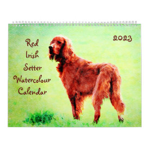 Calendário Red Irish Setter Dog Brewn Owner Gift
