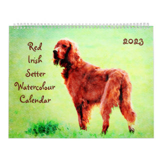 Calendário Red Irish Setter Dog Brewn Owner Gift