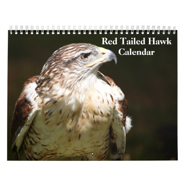 Calendário Red Tailed Hawk 2023 Calendar (Capa)