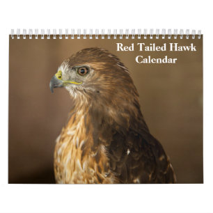 Calendário Red Tailed Hawk 2025