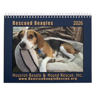 Calendário Rescued Beagles 2026 Wall Calendar