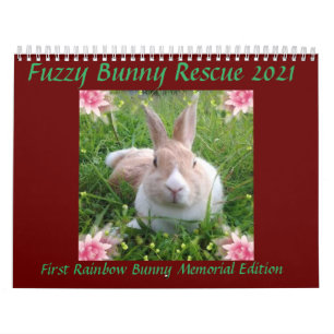 Calendário Resgate de Bunny do Felpudo 2021