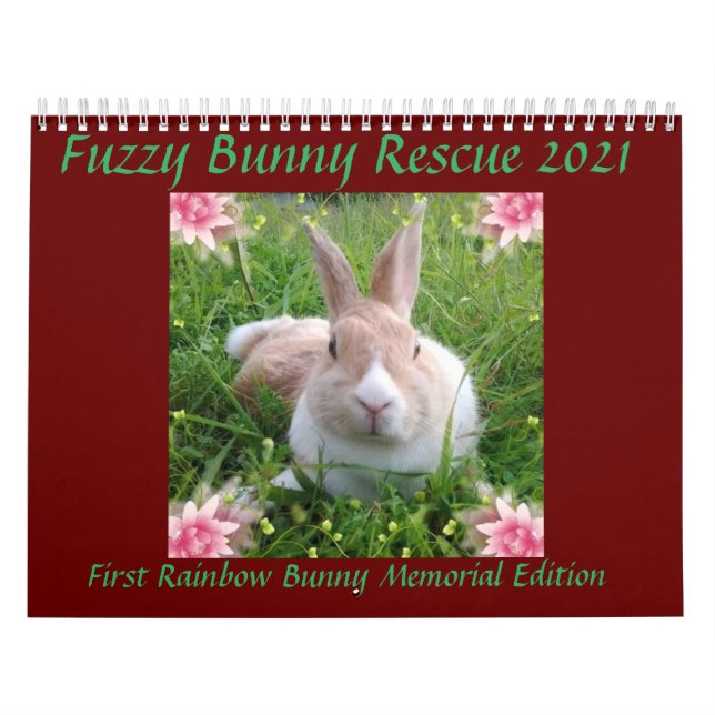 Calendário Resgate de Bunny do Felpudo 2021 (Capa)