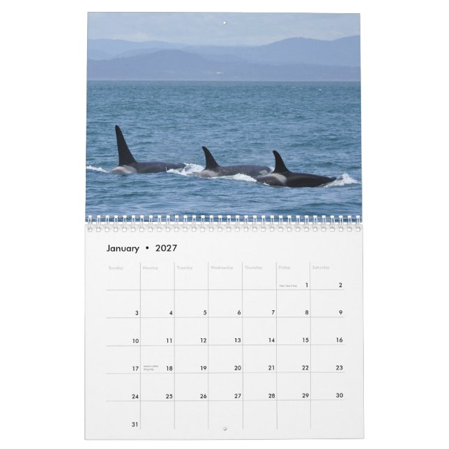 Calendário residente do sul da baleia de assassino (Jan 2027)
