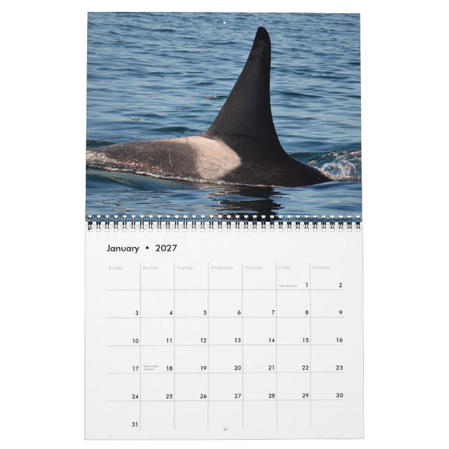 Calendário residente do sul da baleia de assassino (Jan 2027)