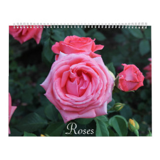 Calendário Retrato do rosa