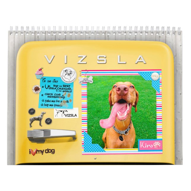 Calendário retro do refrigerador de VIZSLA (Capa)