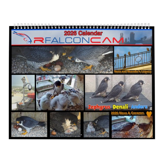 Calendário Rfalconcam 2026 (Capa)