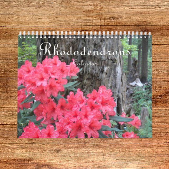 Calendário Rhododendrons coloridos Fotografia oral (In Situ)