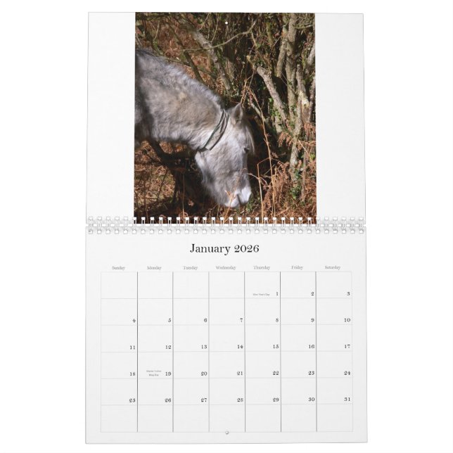 Calendário Rick 2008 fotos aleatórios C… (Jan 2026)