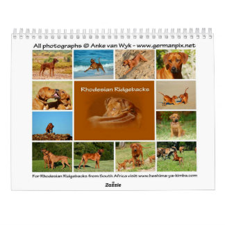 Calendário Ridgeback da Rodésia
