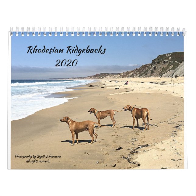 Calendário Ridgeback da Rodésia 2020 (Capa)