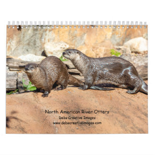 Calendário River Otters 2022 Calendar