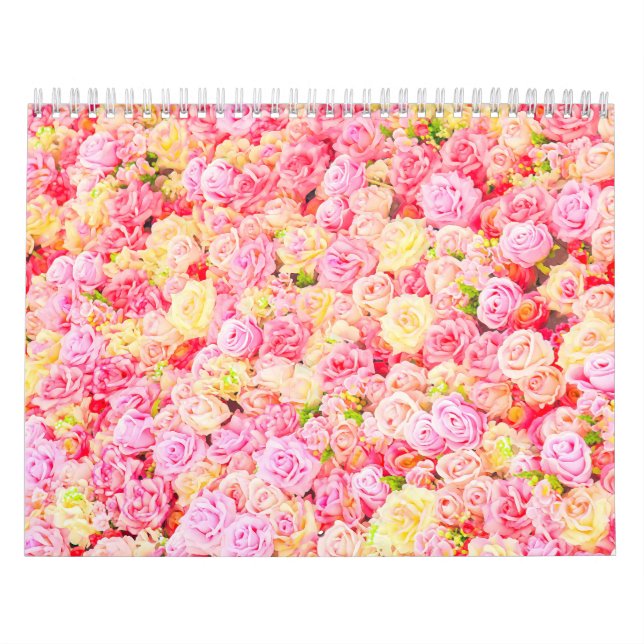 Calendário Rosa (Capa)
