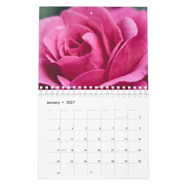 Calendário Rosa (Jan 2027)