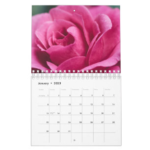 Calendário Rosa