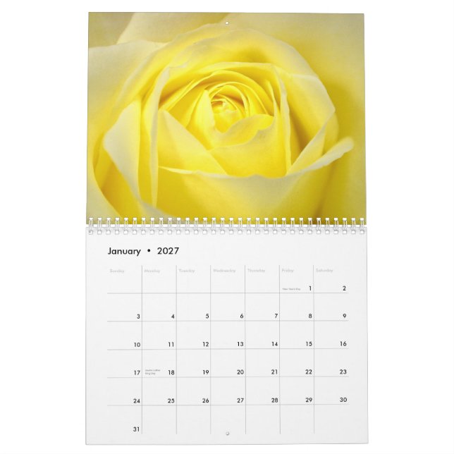 Calendário Rosa Calendar 2015 (Jan 2027)