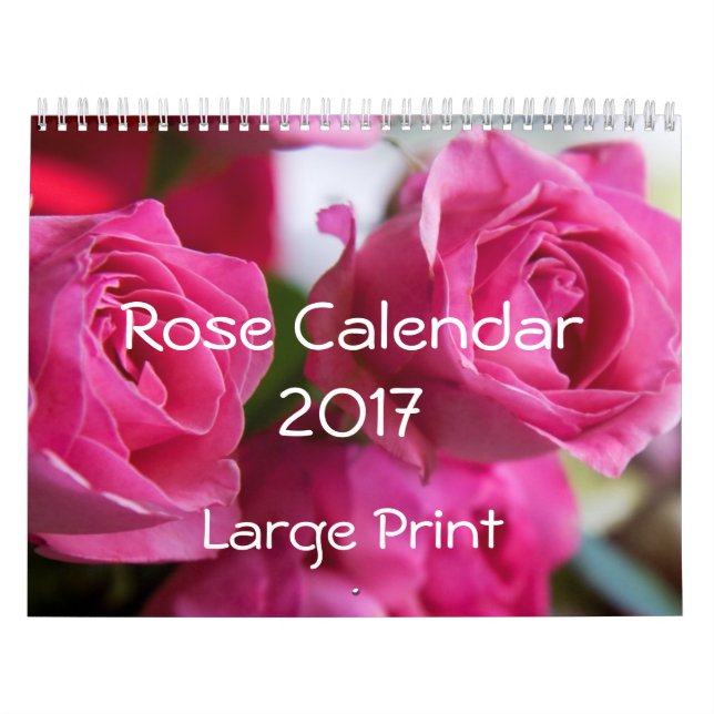Calendário Rosa Calendar 2017 Grande Impressão (Capa)