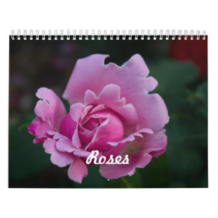 Calendário Rosas