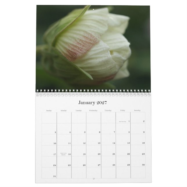 Calendário Rosas 2009 (Jan 2027)