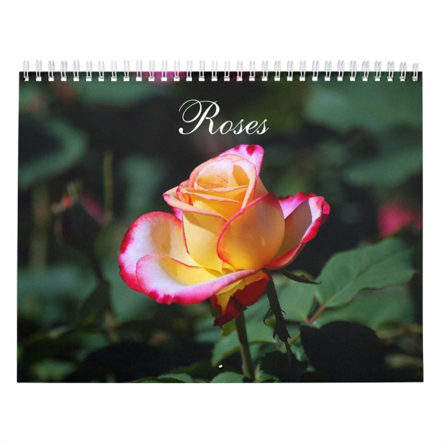 Calendário Rosas 2020 (Capa)