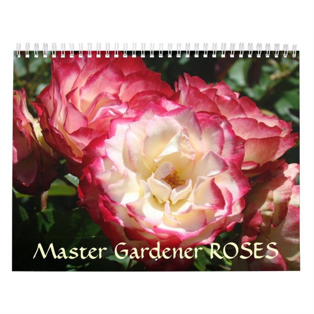 Calendário ROSAS dos JARDINEIROS MESTRES Flores de (Capa)