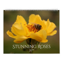 Rosas impressionantes