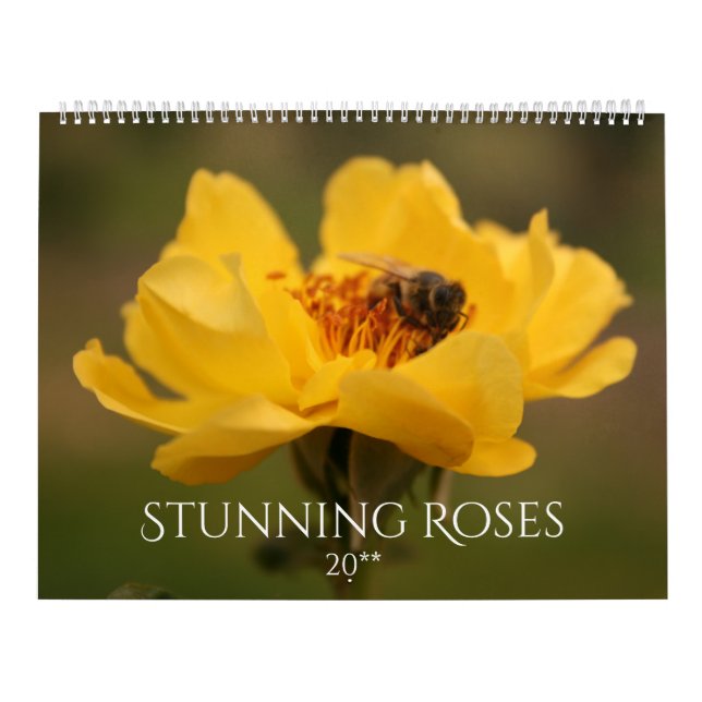 Calendário Rosas impressionantes (Capa)