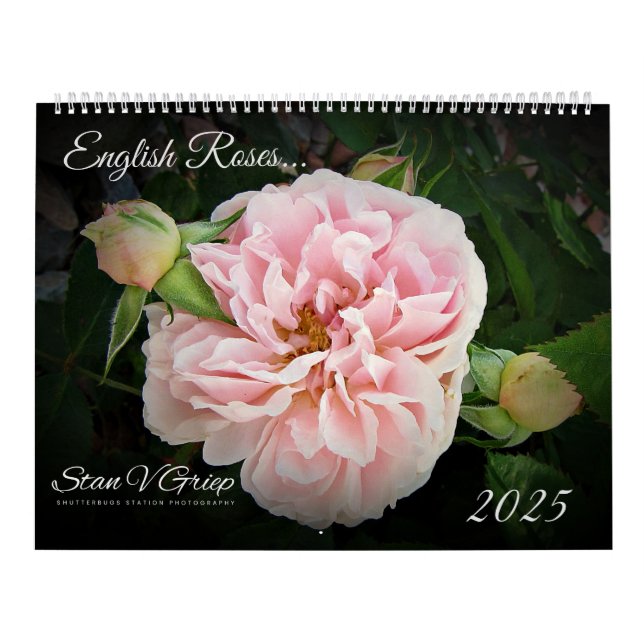 Calendário Rosas Ingleses 2025 Large Wall Calendar By Stan (Capa)